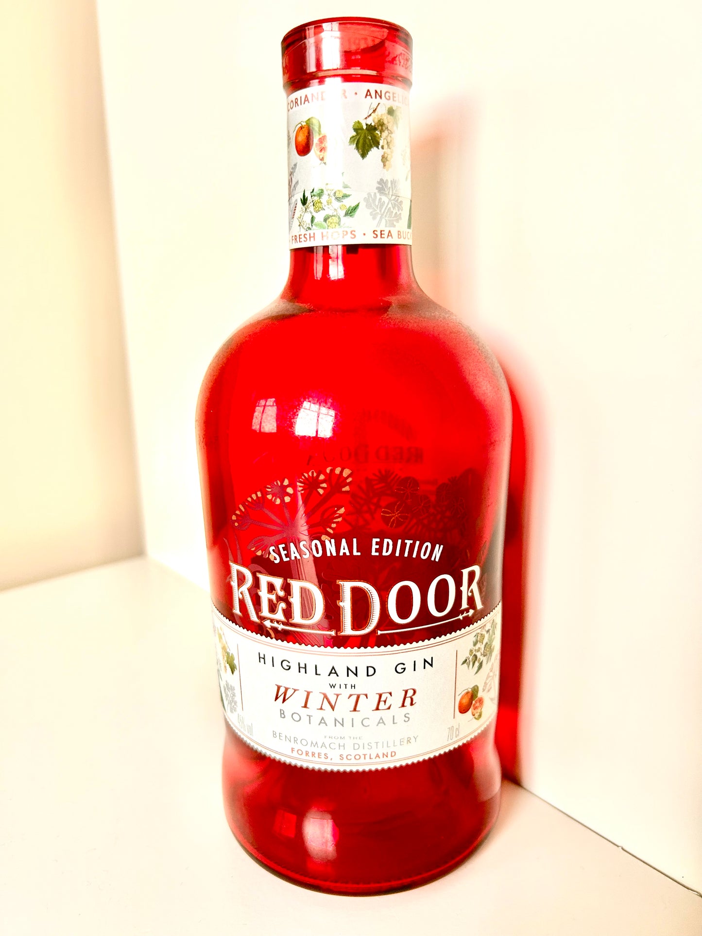 Red Door Gin Bottle Lamp